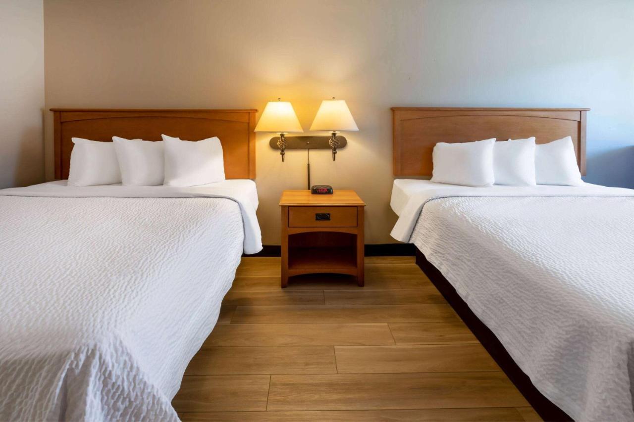 Days Inn By Wyndham Birch Run Bagian luar foto